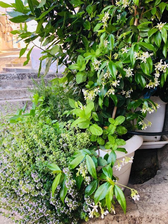パラッツォーロ・アクレイデ A Casa Da Anitaヴィラ エクステリア 写真