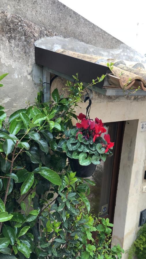 パラッツォーロ・アクレイデ A Casa Da Anitaヴィラ エクステリア 写真