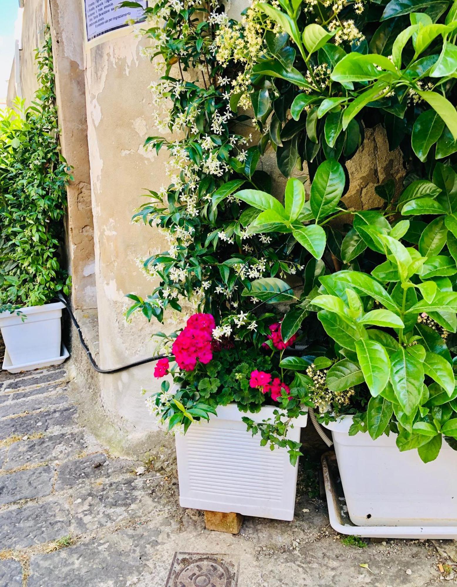 パラッツォーロ・アクレイデ A Casa Da Anitaヴィラ エクステリア 写真